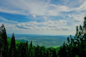 Bình Thuận đề nghị gia hạn sử dụng đất sắp hết hạn nếu không sẽ bị thu hồi