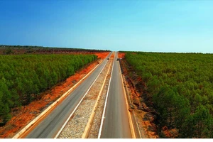 Bình Thuận: Giải ngân vốn đầu tư công chỉ đạt 33% kế hoạch Thủ tướng giao