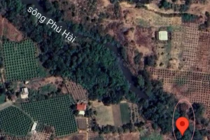 Bình Thuận: Phát hiện thi thể trên sông nghi là nam sinh lớp 12 mất tích