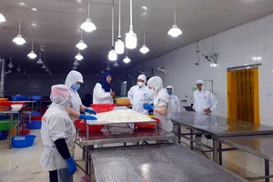 Xuất hiện quyết định kiểm tra giả mạo của Sở Y tế Bình Thuận