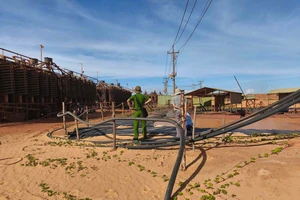 Bộ Công an yêu cầu cung cấp hồ sơ thuế của 4 công ty khai thác titan