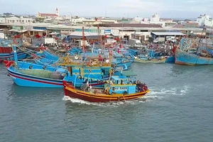 Trắng đêm tìm thuyền viên mất tích khi đang câu mực trên biển 