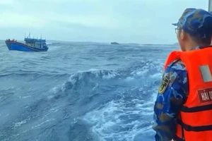 Theo dõi vệt dầu loang của tàu cá bị chìm đang trôi dạt trên biển