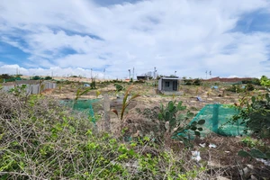 TAND Tối cao bác đơn đề nghị giám đốc thẩm của một chủ tịch huyện