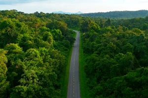 Không đồng ý chuyển 1.429 ha đất lâm nghiệp ra khỏi quy hoạch 3 loại rừng