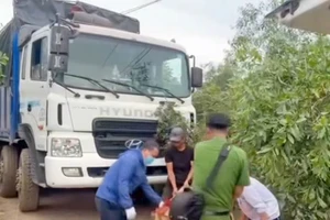 Nâng dây điện vì sợ vướng, tài xế tử vong tại chỗ