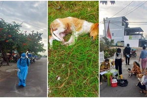 Bị chó dại cắn, làm thịt chó ăn, tử vong sau 3 tuần