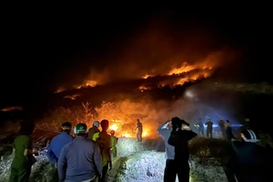 Vụ cháy đồi bằng lăng trên núi Tàu không đe dọa người dân và thiệt hại tài sản