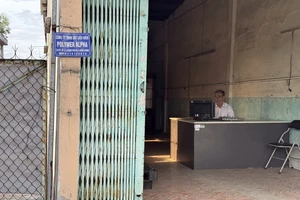 Nhân viên tạp vụ được cử làm giám đốc để báo giá, làm "quân xanh" đấu thầu tiền tỉ