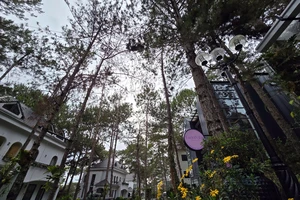 Bình Thuận: Đề nghị hỗ trợ tiền thuê nhà cho cán bộ đến Lâm Đồng làm việc