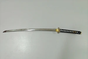 Dùng kiếm Nhật gây án bị truy tố tội sử dụng trái phép vũ khí quân dụng