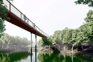 Dự án giữ rừng làm công viên thay vì xây biệt thự ở Phan Thiết giờ ra sao?