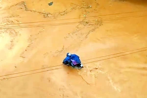 Lâm Đồng: Sạt lở nghiêm trọng, nhiều hộ dân phải di dời khẩn cấp