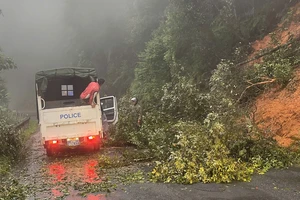 Sạt lở, mất an toàn giao thông trên Quốc lộ 27 và Quốc lộ 28