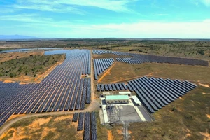 Lâm Đồng: Công an giải quyết tin báo, yêu cầu định giá hàng chục lô đất 