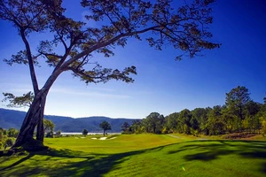 Vụ mất gần 40ha rừng ở sân golf Đạ Ròn vì sao tạm đình chỉ giải quyết nguồn tin tội phạm?