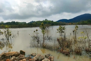 Công ty Trang trại Việt đã tháo cạn các hồ chứa nước trên núi Tân Lai