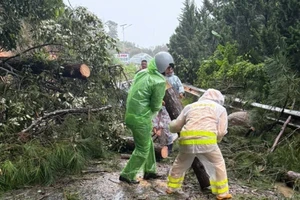 Đóng đèo Ngoạn Mục, từ Đà Lạt xuống Ninh Thuận cũ bằng đường nào?