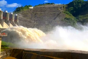 Lâm Đồng: Kiên quyết tạm dừng hồ sơ vận hành hồ chứa của Thủy điện Đồng Nai 5