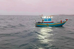 Phát hiện thi thể người đàn ông trong chiếc xuồng trôi tự do trên biển