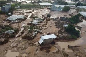 1 năm 38 đợt thiên tai: Lâm Đồng kiến nghị Trung ương hỗ trợ 1.200 tỉ đồng