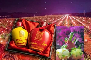 Lâm Đồng thông tin về dừng bảo hộ, chỉ dẫn địa lý cho tôm Bình Thuận