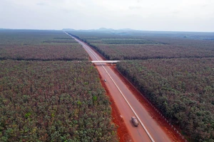 Cao tốc Phan Thiết - Dầu Giây có kịp thu phí trước Tết Nguyên đán?