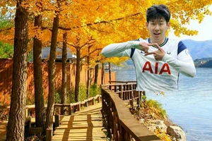 Vì sao Lâm Đồng dừng hợp tác với quê nhà huyền thoại bóng đá Son Heung-min?