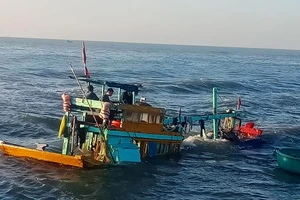 Bao giờ chấm dứt nước mắt đổ ở cửa biển La Gi?