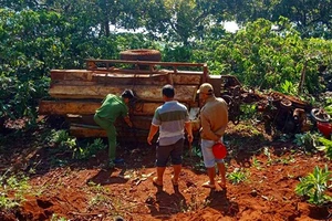 Vì sao không khởi tố vụ lật xe máy đào đè chết người ở Lâm Đồng?