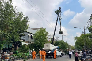 Lâm Đồng: Xe cẩu vướng dây điện, một người đàn ông tử vong tại chỗ