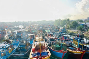 Tìm kiếm thuyền viên mất tích bí ẩn khi đang nhậu trên tàu cá