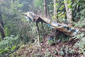 Phát hiện bộ xương người trong căn chòi tại Vườn Quốc gia Tà Đùng