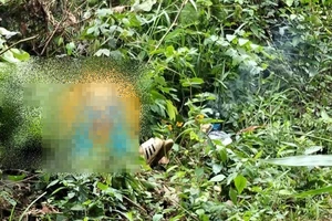 Bẫy chim trên đèo Bảo Lộc, bị điện cao thế phóng tử vong