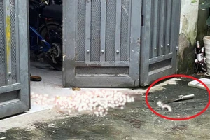 TP.HCM: Chồng dùng dao tấn công vợ rồi đến công an đầu thú