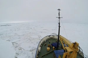 Hình ảnh giải cứu tàu thám hiểm Akademik Shokalskiy ở Nam Cực
