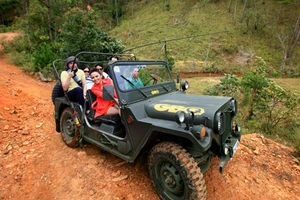 “Ở trọ giữa rừng”