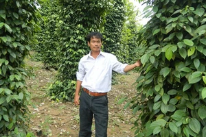 Tỉ phú giữa đại ngàn