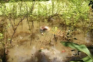 Nghi vấn cô gái bị giết hiếp, quẳng xác xuống ao phi tang