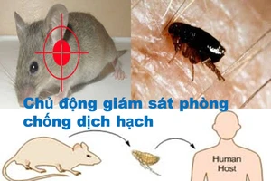 Dịch hạch có thể xâm nhập từ Trung Quốc vào Việt Nam