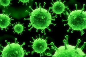 Phát hiện 180.000 người nhiễm HIV