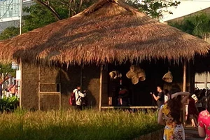 Đi thăm “làng quê xuân” giữa thành phố…nhà giàu