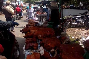 Hãi hùng với 'lộc sơn thần'!