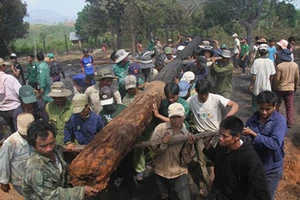 Gia Lai: Lửa thiêu rụi nhiều nhà ở làng Bana trăm tuổi