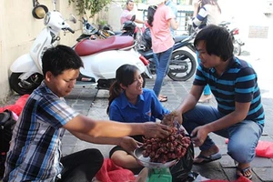 Gần 2 tấn hành tím ủng hộ nông dân được bán hết veo