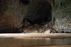 Hang Én Việt Nam sắp lên phim bom tấn của Holywood