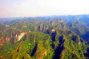 'Vườn treo Babylon' khổng lồ