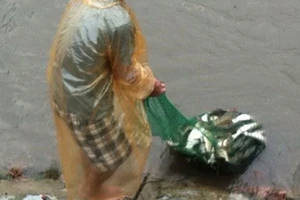 Người Hà Nội 'nô nức' ra sông bắt cá sau cơn mưa lớn 