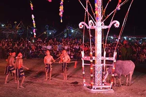 Dân làng không muốn bỏ lễ hội đâm trâu