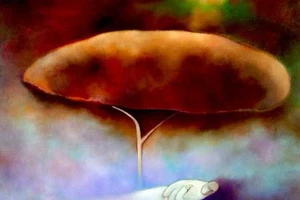 Nhạc Trịnh Công Sơn được giới thiệu bằng hội họa